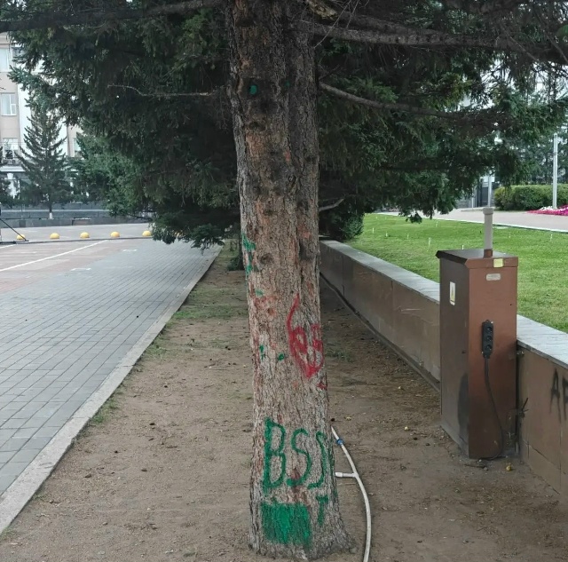 В центре Улан–Удэ неизвестный испортил ель В центре Улан–Удэ неизвестный испортил ель