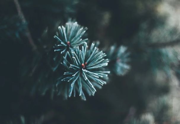 � ������� ���� ����� �� ���������� ���