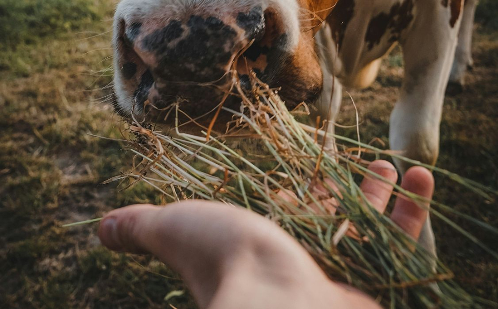 � ������� �������� ���� ��� ��� �������� ������� ������ � ���������������������