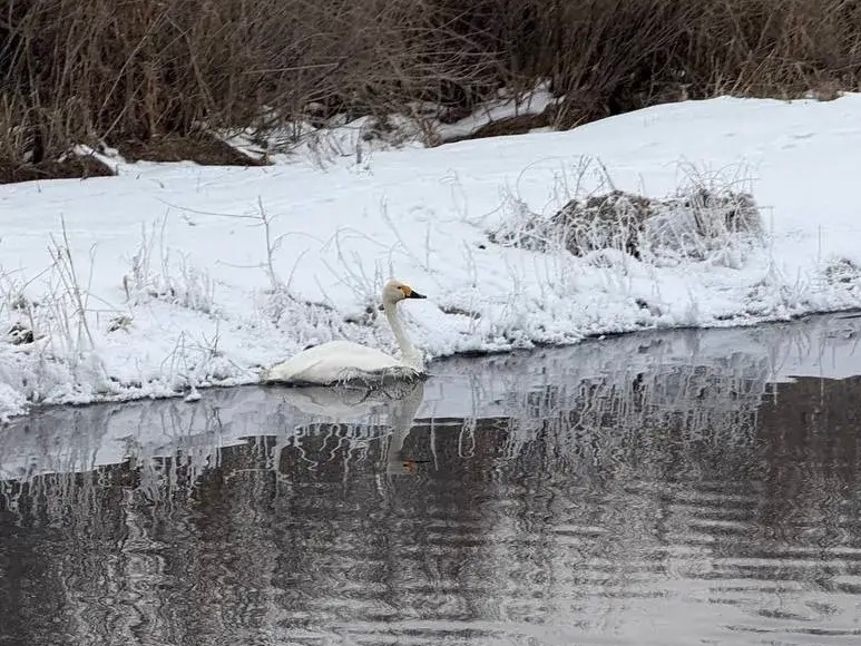 � ������� ��� ����� �������� ������