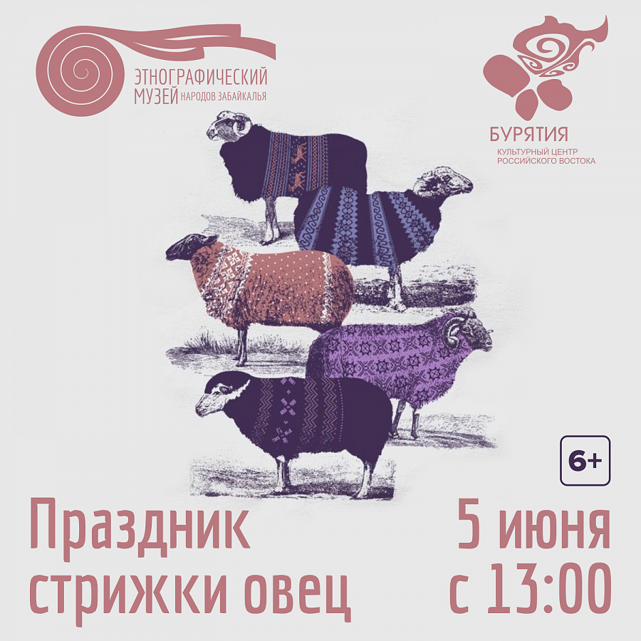 В Этнографическом музее народов Забайкалья устроят праздник стрижки овец В Этнографическом музее народов Забайкалья устроят праздник стрижки овец