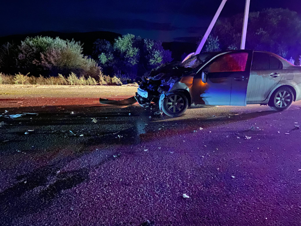 В Бурятии на трассе автомобиль врезался в лошадь В Бурятии на трассе автомобиль врезался в лошадь