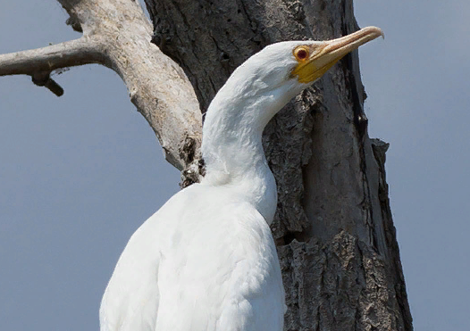 �� ������� ������� �� ��� ������� ���������� ���������� �������-���������