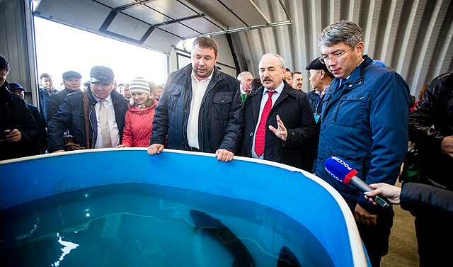 В Бурятии стартовала международная выставка «Baikal Agro Farm» В Бурятии стартовала международная выставка «Baikal Agro Farm»