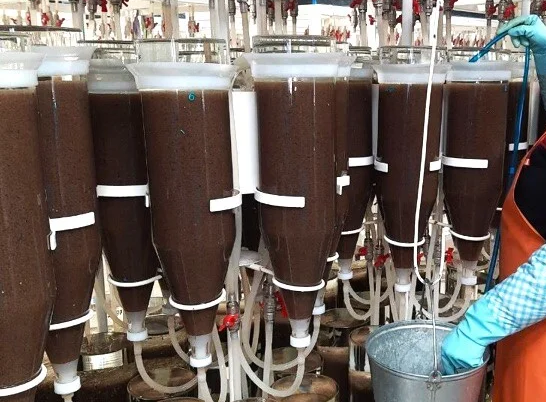 Ha �ap�y���c�o� p���a�o�e ������� �o�o��o������� ���o� �����  ��� �c�ycc��e��o�o �oc�po���o�c��a