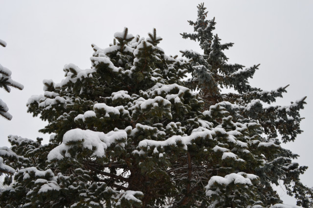 ������� ������� ������������� � �����������