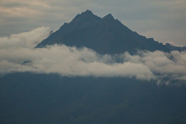 ��� �������� ��������� ������ ��� ����������� �� �����������?