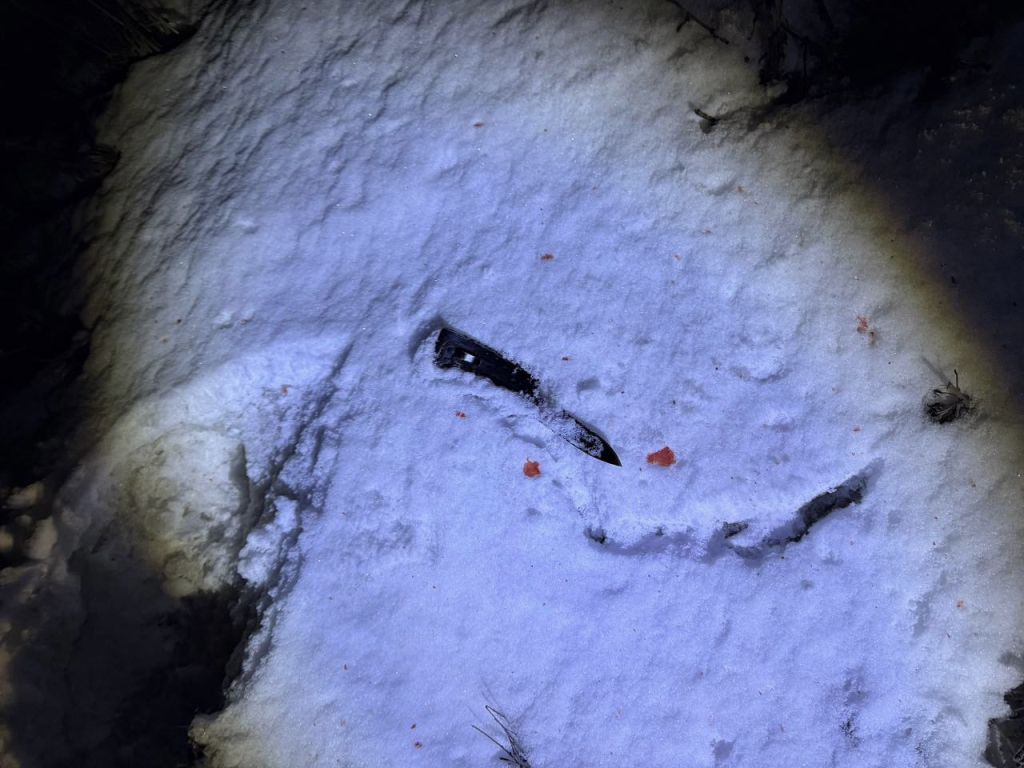 � ������� ������� ���� ����������� �������� ��������, ������� ����� ��� ������