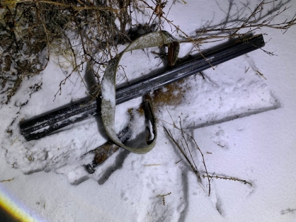 ������ ������� ��������� ������������ � ���� �������