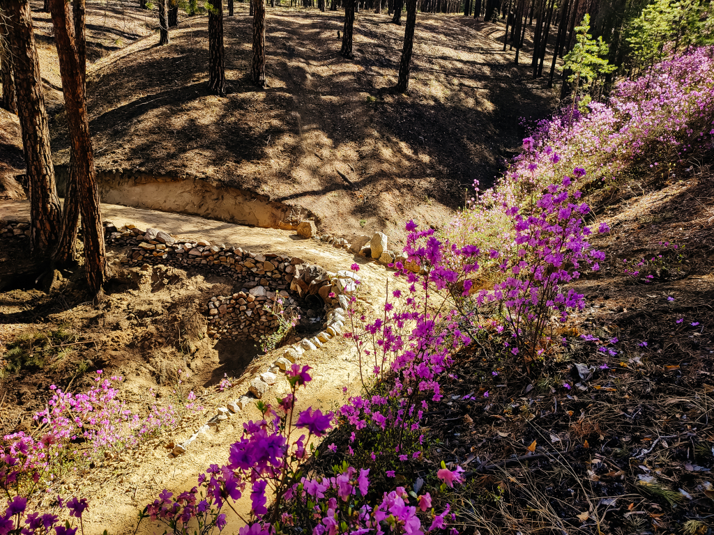 Первая «Тропа Дальнего Востока» будет открыта в Бурятии Первая «Тропа Дальнего Востока» будет открыта в Бурятии