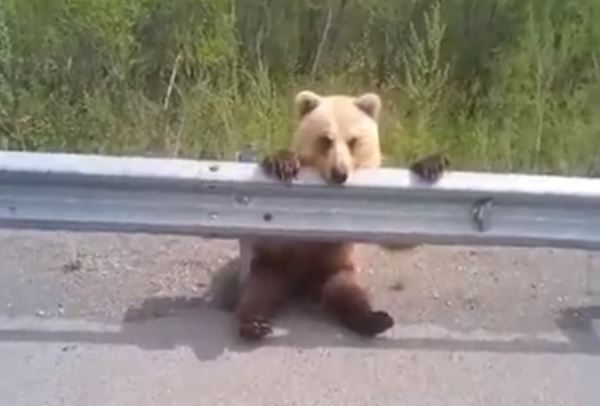 ���������� �� ������� �������� ������� ►