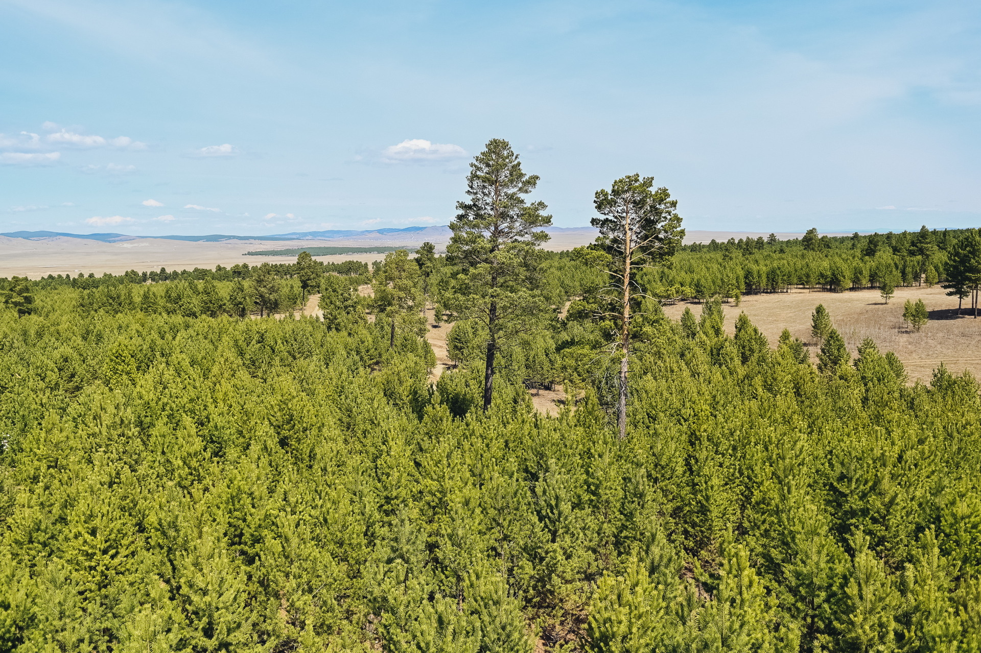 � ������� ������ ������ ��������������� �����