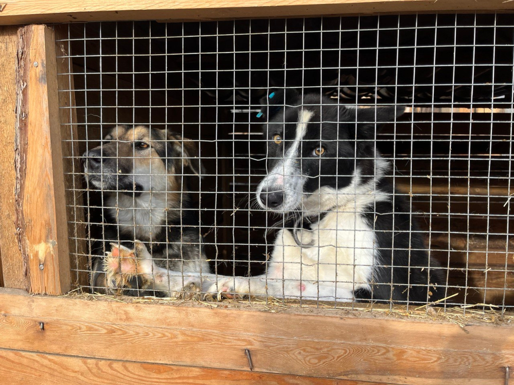 � ������� ����������� �������� � ����� ����� �������� ����������