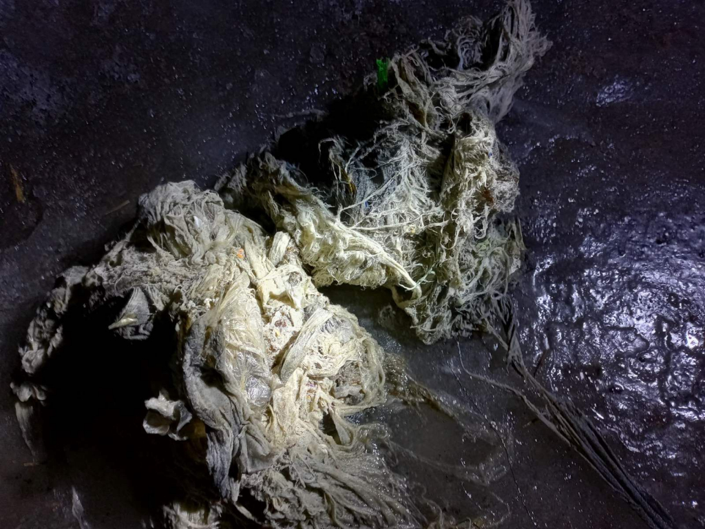 ������ ����������� ����-��� ���� �� �������� ��� ���� ��-�� ������ � ����������� ������ � ���������