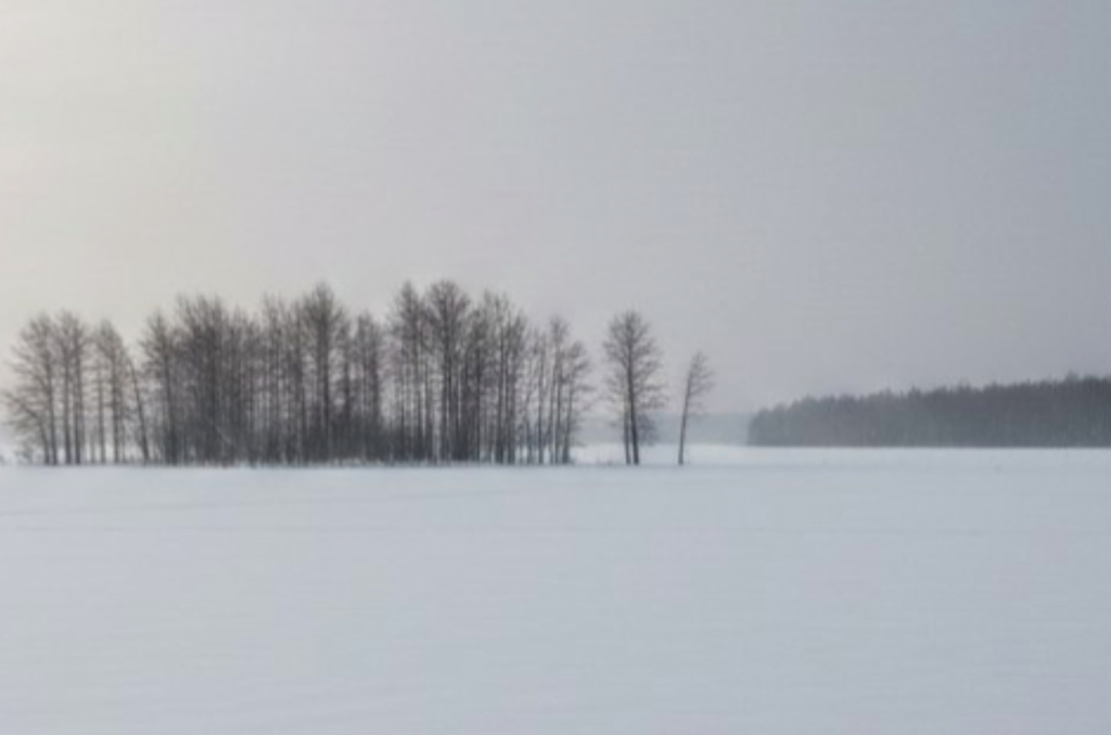 � ������� �� ������� ����� ����� ���������� ���� �������