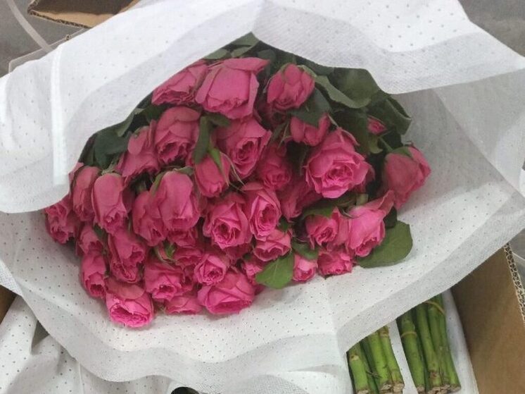 Более 1,8 миллиона цветов привезли из Китая в Бурятию с начала года Более 1,8 миллиона цветов привезли из Китая в Бурятию с начала года