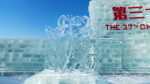 ������� �� ������ �������� �� XXXVII ���������� ������������� �������� ������� ���������