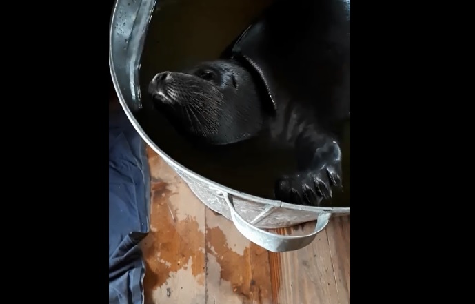 ������� �������� ����� �� �������