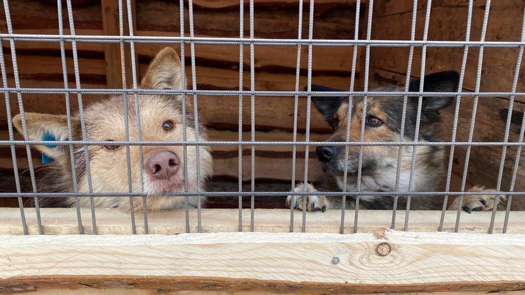 В Улан-Удэ стартовала акция «С другом на дачу» В Улан-Удэ стартовала акция «С другом на дачу»