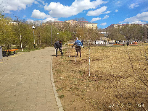 На Мемориале Победы прошла акция высадки саженцев На Мемориале Победы прошла акция высадки саженцев
