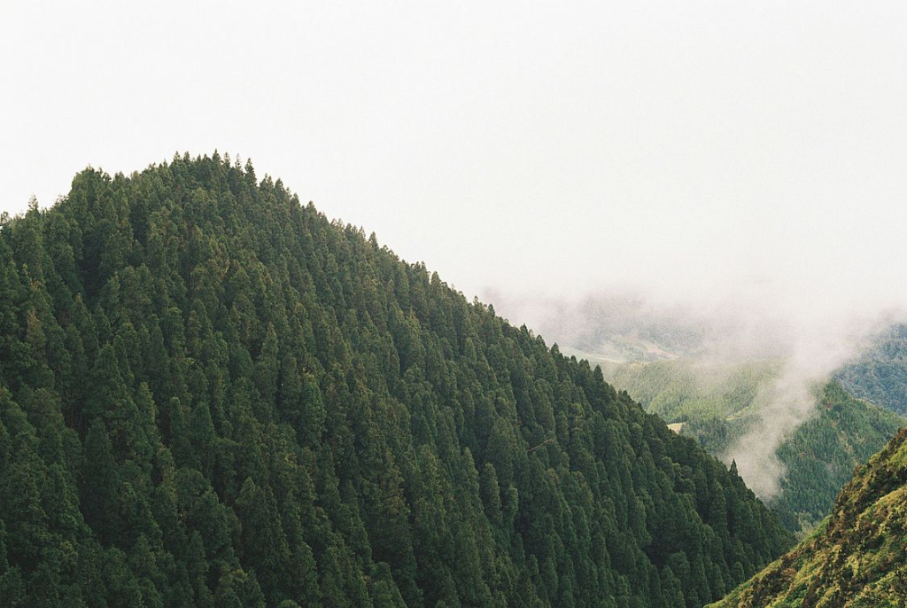 В Бурятии доступ в лес будет разрешён с 19 сентября В Бурятии доступ в лес будет разрешён с 19 сентября