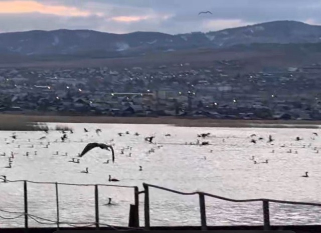 ������ �����: ������� ������������� ��������� ��������� � �������