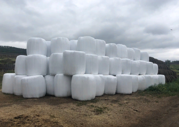 �������������������� �������� �������� � 11 ������� �������