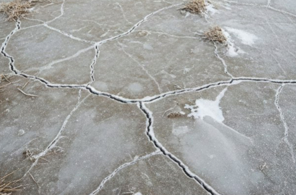 �� ������ ������� ��������� �������������