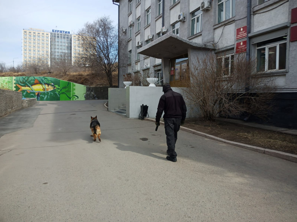 На "заминированных" объектах в Улан-Удэ не обнаружили угрозы безопасности На "заминированных" объектах в Улан-Удэ не обнаружили угрозы безопасности
