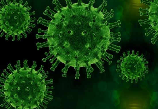 ������� ��������: ������ ��������������� ��������� ������������ ����� ����������; � �� �� ����� ���������������� ����� 22 ���. ������� COVID; �������� ������� ������������ ������������ �� ������� COVID 