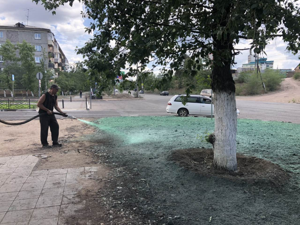 В Улан-Удэ высажено 2, 5 тысячи квадратных метров газонной травы В Улан-Удэ высажено 2, 5 тысячи квадратных метров газонной травы