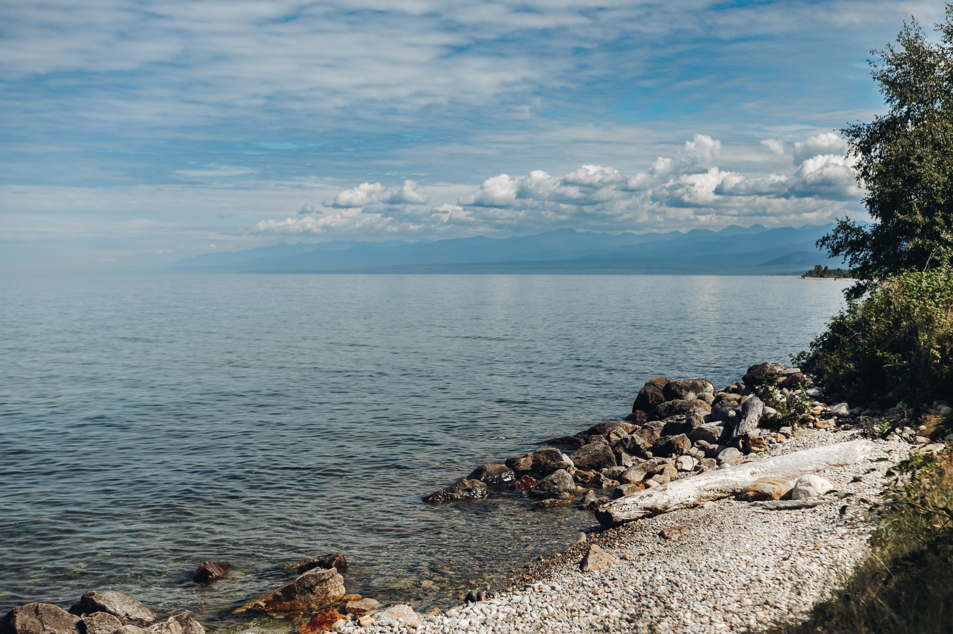 � ������� ���������� ��������� ����� �� �������� �������