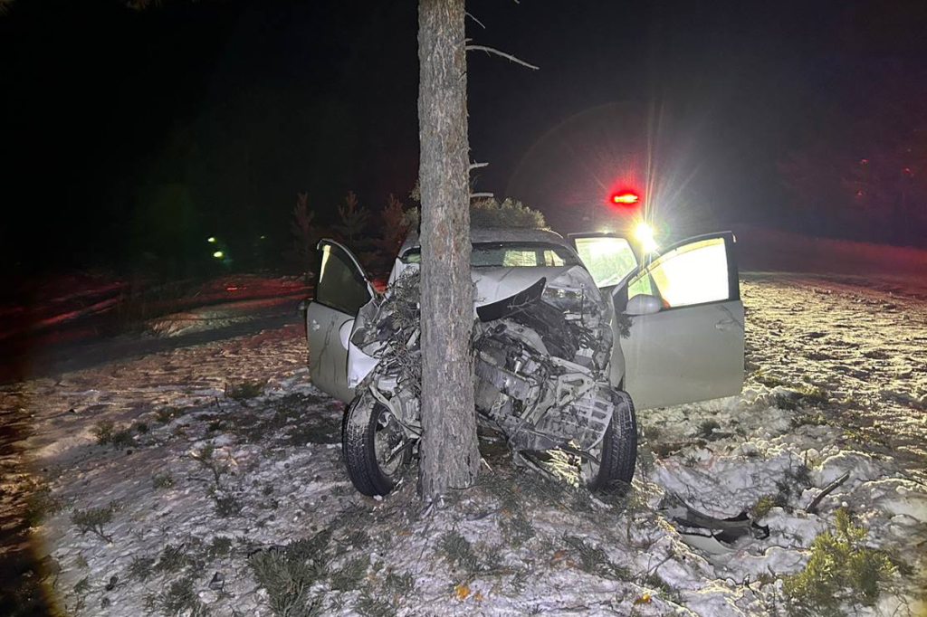 В Бурятии после наезда на дерево погиб водитель В Бурятии после наезда на дерево погиб водитель