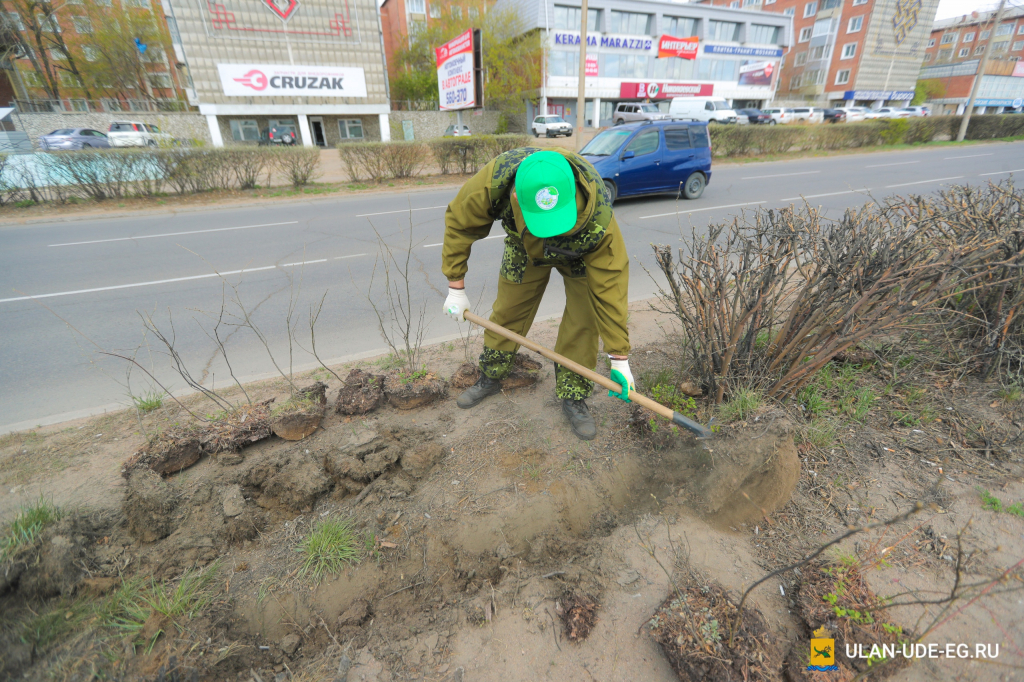 В Улан-Удэ восстанавливают «живую изгородь» В Улан-Удэ восстанавливают «живую изгородь»