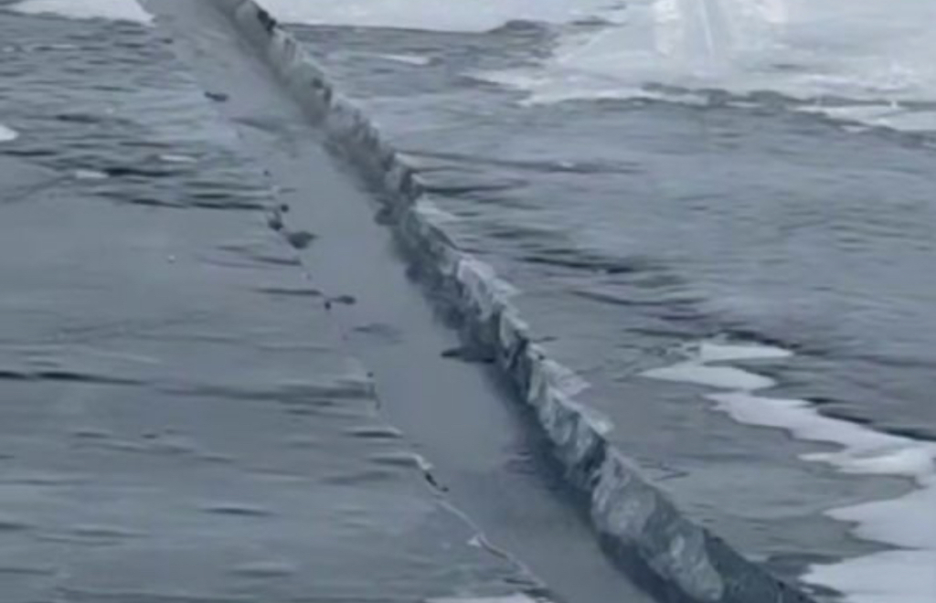 �� ���� ������� ���������� ������� �������� �������