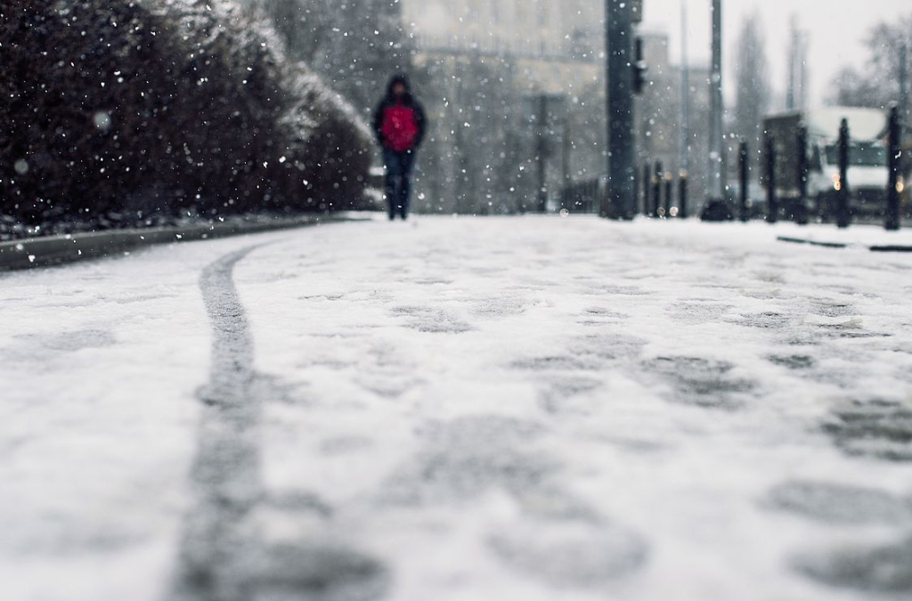 � ������� ��������� ������ ���� � �������� �����