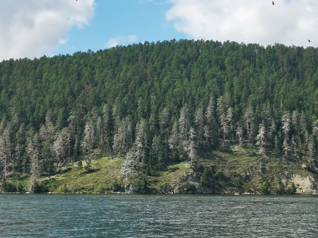 «Бороться, как с террористами». Депутаты Хурала требуют принять меры против баклана «Бороться, как с террористами». Депутаты Хурала требуют принять меры против баклана