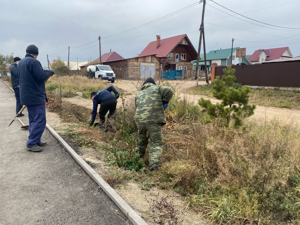 В Улан-Удэ завершают осенние посадки В Улан-Удэ завершают осенние посадки
