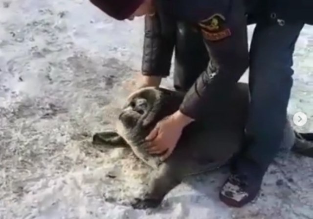 ������� ����� �� ���� ������� � ��������� ������� ������ ���������� ��� ►