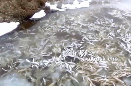 �������� ������ ���� ���������� � ���� ���� ��� ��������� ►