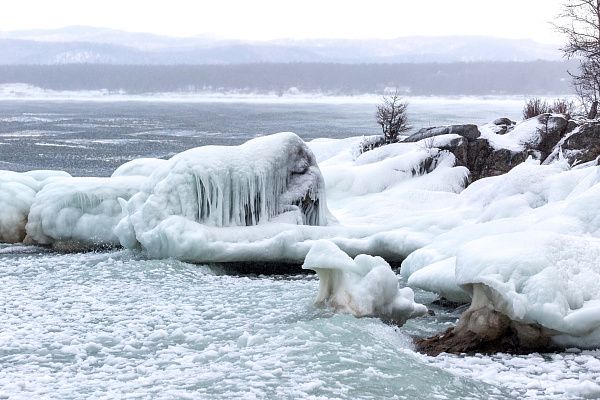 ������ ����� 47 ����� ������� � �������