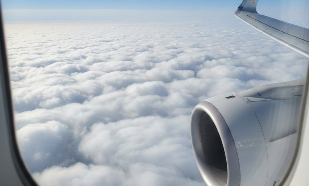 ������ ����� ����� �������: ������ ������� ����� � ����� �� ������