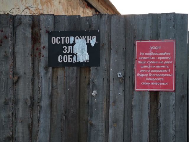 В Улан-Удэ вновь подожгли собачий приют В Улан-Удэ вновь подожгли собачий приют