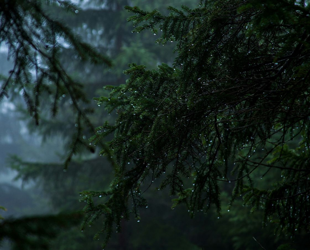 Конец лета в Бурятии будет дождливым Конец лета в Бурятии будет дождливым