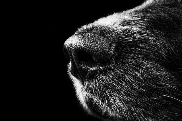 � ����-��� ������ ������ �� c��� �������