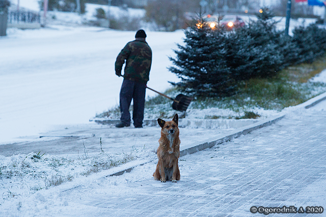 ����� ������ ��� ������� ������� � ������ ������?