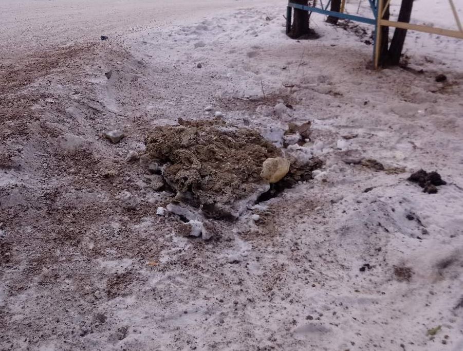 "Люди! Что же вы делаете?": улицу в Улан-Удэ затопили сточные воды из-за бараньей шкуры в канализации "Люди! Что же вы делаете?": улицу в Улан-Удэ затопили сточные воды из-за бараньей шкуры в канализации