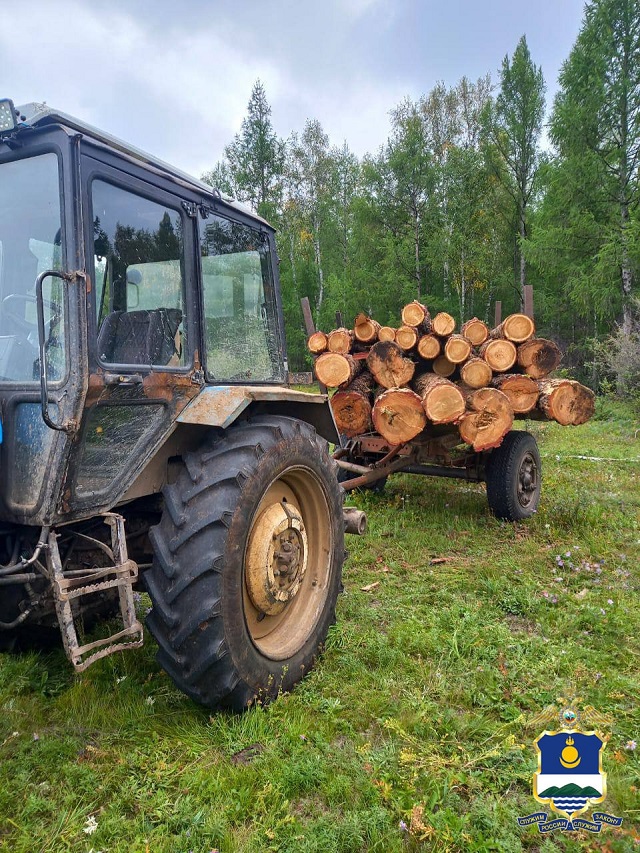 В Бурятии пресечена деятельность троих «чёрных» лесорубов В Бурятии пресечена деятельность троих «чёрных» лесорубов