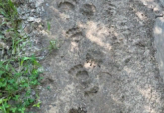 "��������������� ��������": � ����-��� ����� � ��������������� ������ ���������� ����� �������