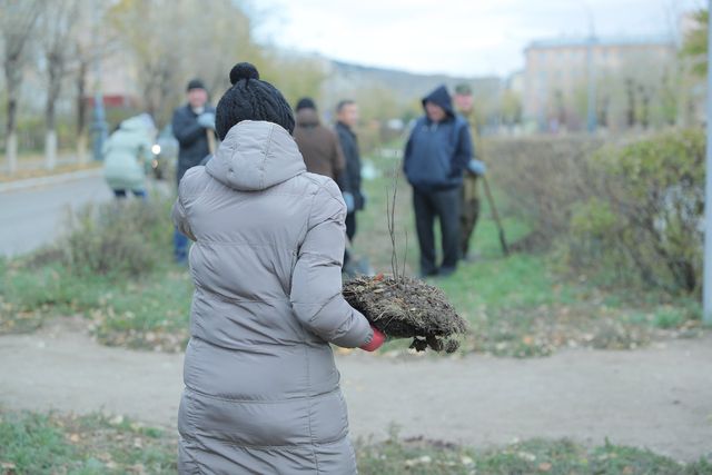 В Улан-Удэ прошла осенняя посадка саженцев В Улан-Удэ прошла осенняя посадка саженцев